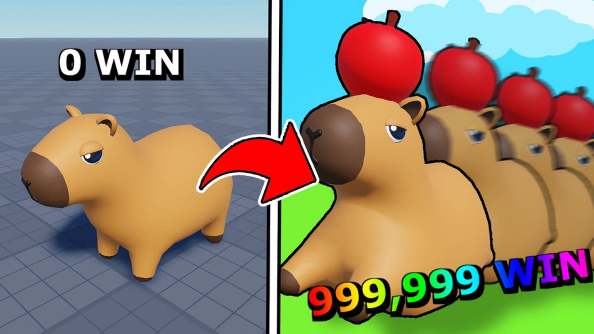 Train your capybara and race to earn Wins (Image via Roblox)